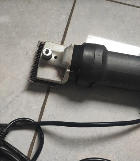 Horse clippers