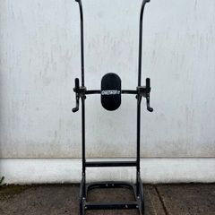 Home Gym Power Tower