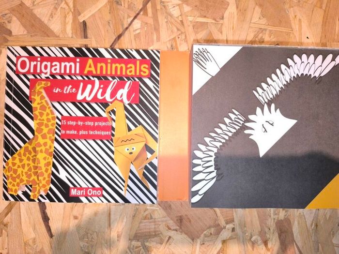 Oragami book