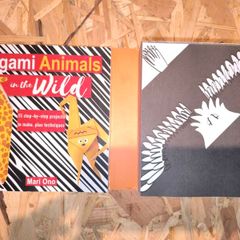 Oragami book