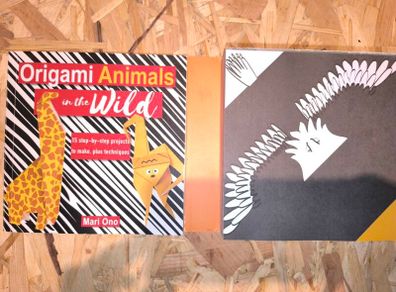 Oragami book