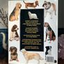 The Illustrated Encyclopaedia of Dog Breeds by Joan Palmer Image 4