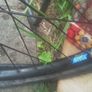 Giant dirt jumper brass Image 4