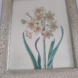Still life flower framed print.