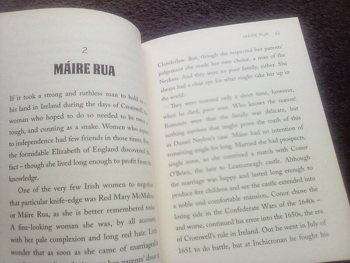 Defiant Irish Women Book