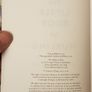 The Little Book Of Hurling by Seamus J. King Image 3