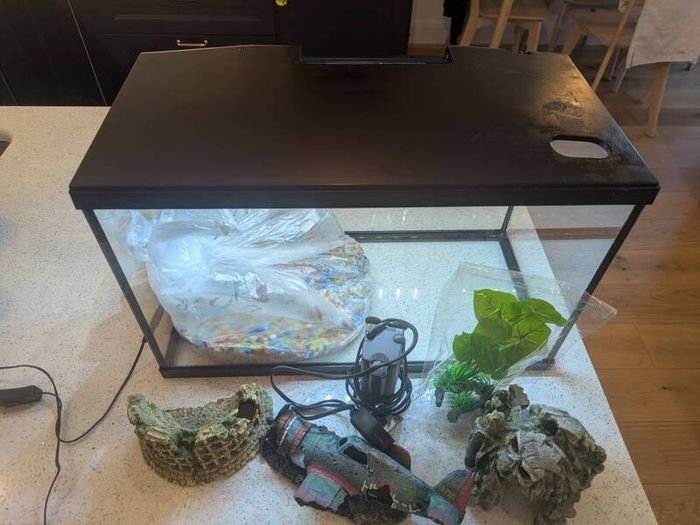 Fish tank and accessories