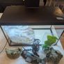 Fish tank and accessories Image 2