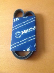 Alternator belt