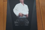 Hottoys Luke MMS297 Hot Toys