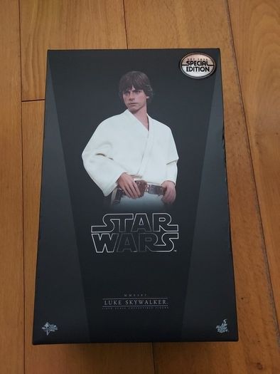 Hottoys Luke MMS297 Hot Toys