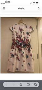 Ted Baker Dress