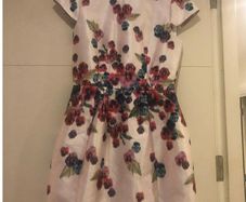 Ted Baker Dress