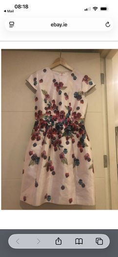 Ted Baker Dress