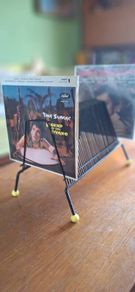 Cool mid century vinyl record rack