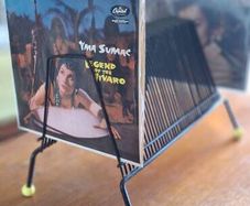 Cool mid century vinyl record rack