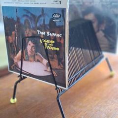 Cool mid century vinyl record rack