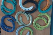 Unique Painted Used Horse Shoes