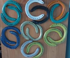 Unique Painted Used Horse Shoes