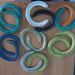 Unique Painted Used Horse Shoes