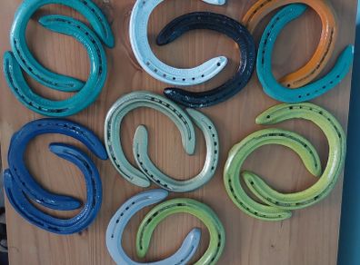 Unique Painted Used Horse Shoes
