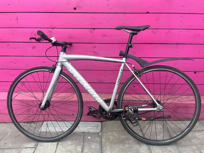 Specialized langster