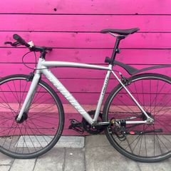 Specialized langster