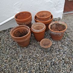 Terracotta plant pots