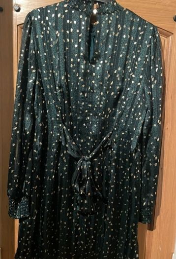 Knee Length Green & Gold Dress