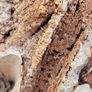 Paleo Rock 1Kg Image 2