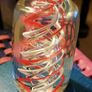 Vintage Glass Paperweight Image 3