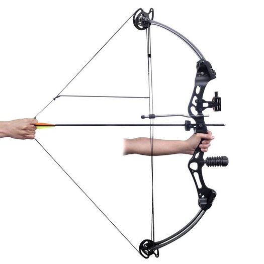 Adult Compound Bow with Accessories and Fiberglass Arrows