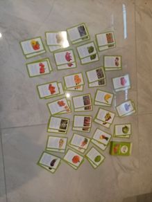 Food dudes food snap cards