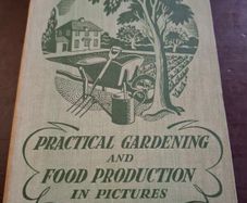 Practical gardening and food production in pictures
