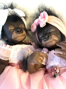 doll    Very cute reborn twin monkey's