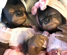 doll    Very cute reborn twin monkey's