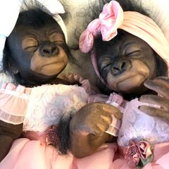 doll    Very cute reborn twin monkey's
