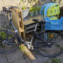 2 Adult bikes