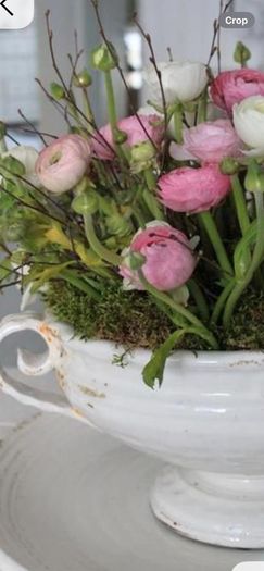 ShabbyChic Old Vintage Display Piece..