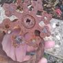 cast iron door furnishers Image 3