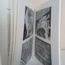 Irish Eighteenth-Century Stuccowork and its European Sources by Joseph McDonnell (PT51) Image 8