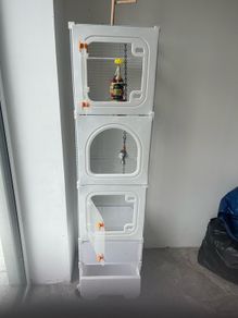 Bird cages 2