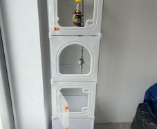 Bird cages 2