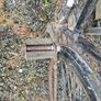 Old Vintage Lady's High Nelly Bicycle with Original Parts Image 4