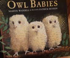 Owl  Babies Children's book by Martin Waddell