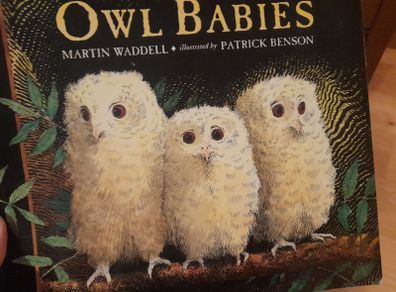 Owl  Babies Children's book by Martin Waddell