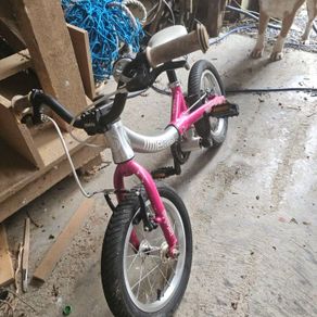 Little Big Bike