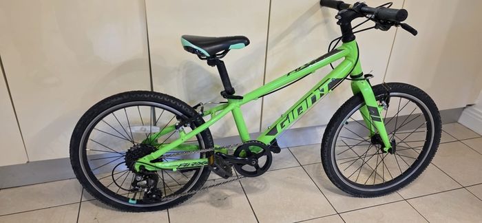 Giant Bike