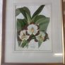 Framed prints Image 5
