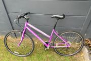 Ventura Adult Bike